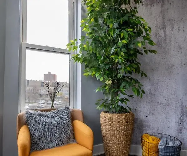 Cute And Cozy Modern Chicago